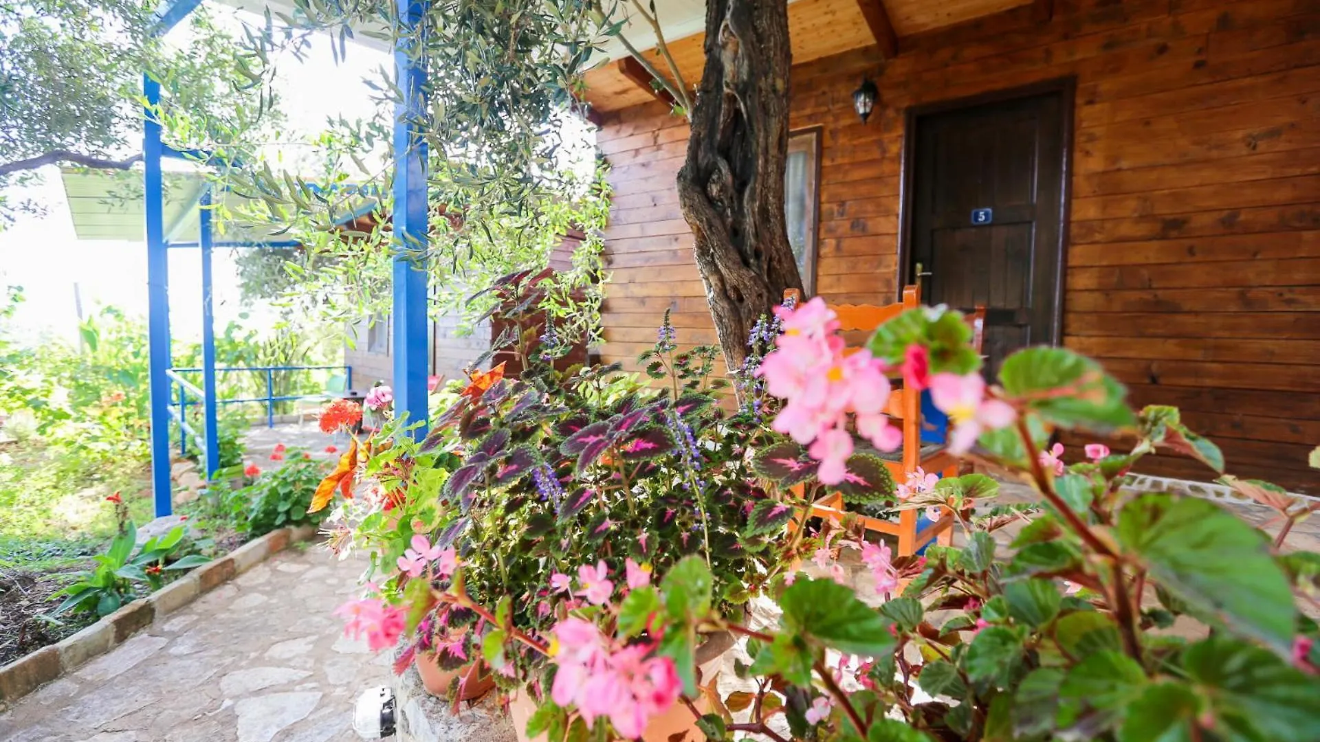 Holiwood Motel Himare