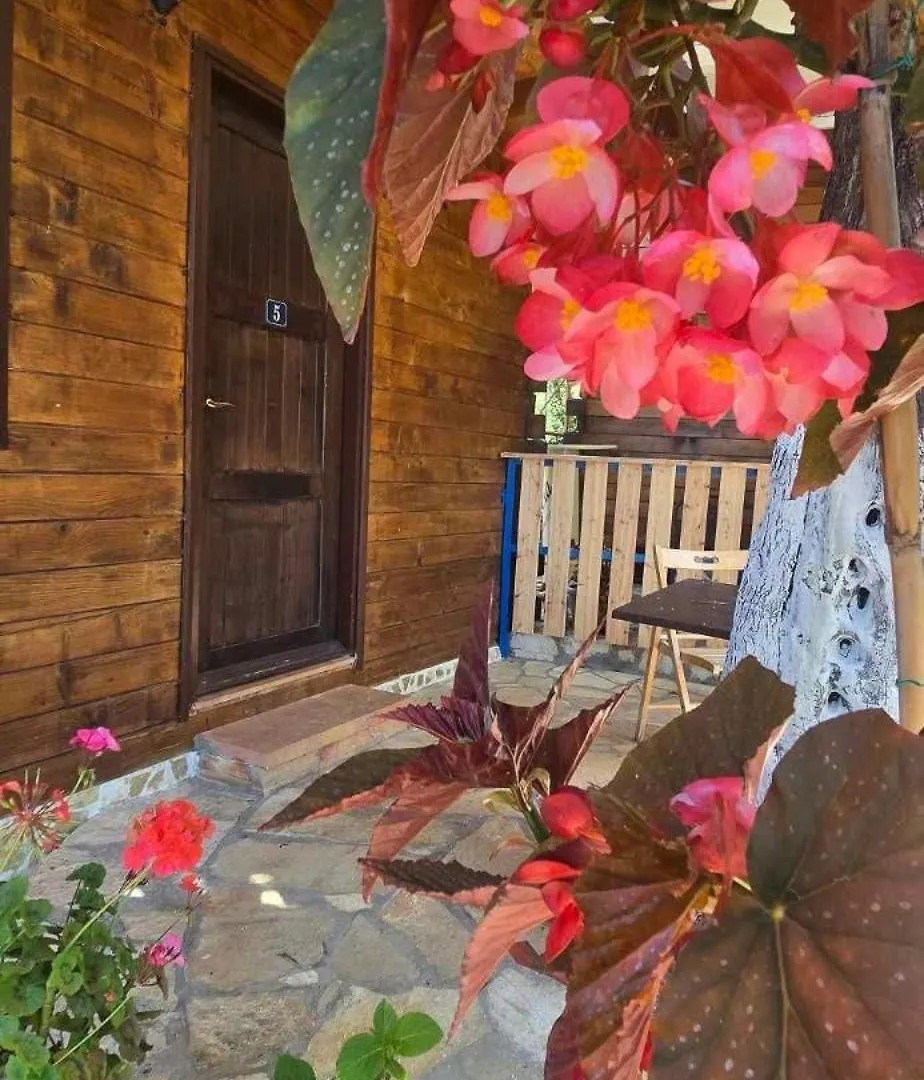 Holiwood Motel Himare