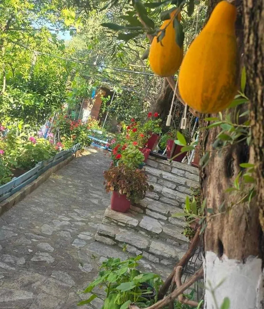 Holiwood Motel Himare Albania