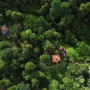 resort-mahout-wayanad-an-experiential-jungle-stay-with-waterfall.kerala-hotels.net/