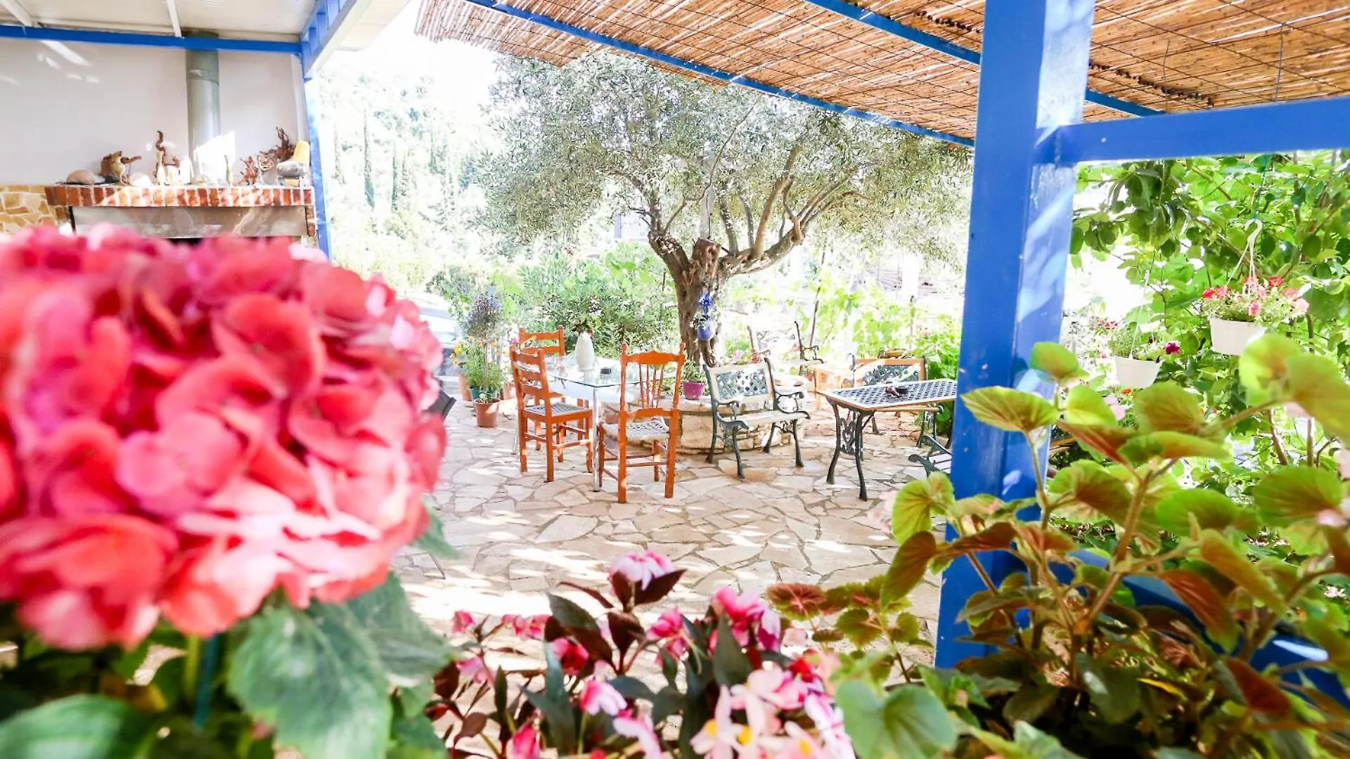 موتيل هيماري Holiwood