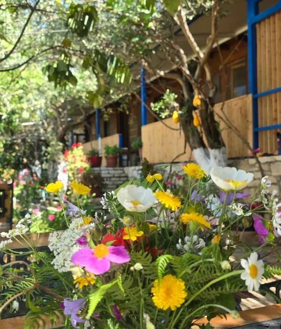 Holiwood Motel Himare 0*,  Albania